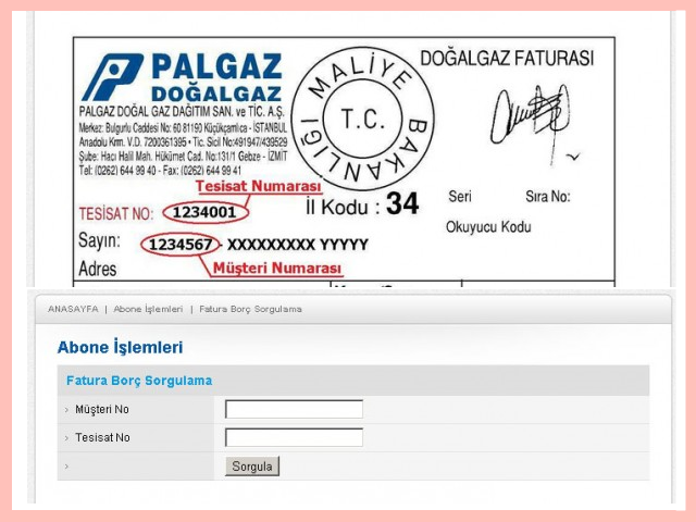 PALGAZ Fatura Borç Sorgulama İşlemi Nasıl Yapılır?