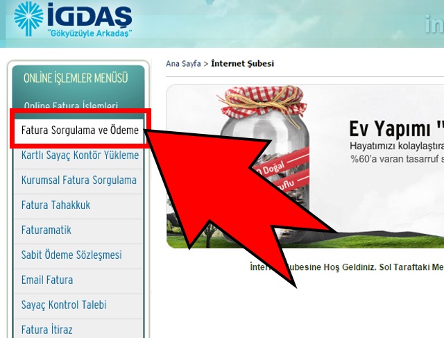 İGDAŞ Fatura Sorgulama Nasıl Yapılır