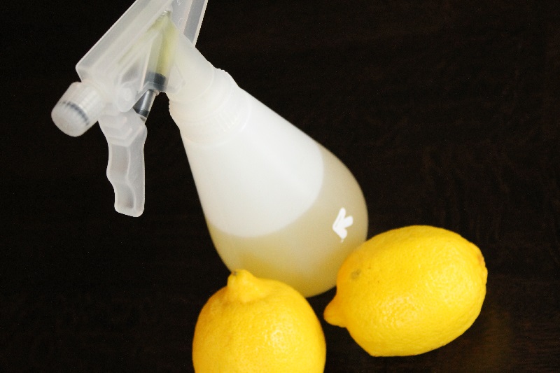 Limon ve Sirke ile Pencere Spreyi Nasıl Yapılır